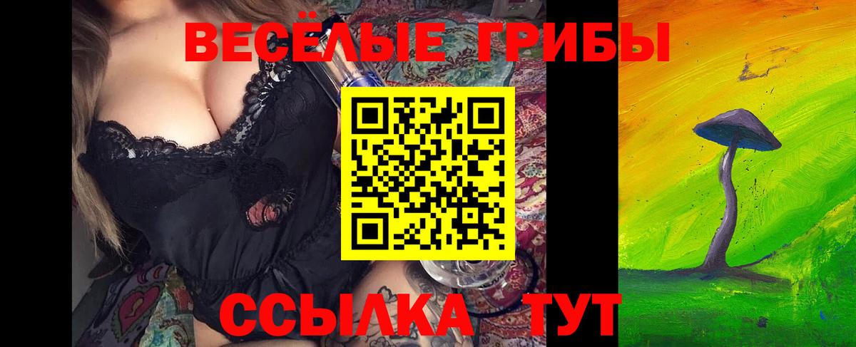 Псилоцибиновые грибы прущие грибы  Псилоцибиновые грибы MAGIC MUSHROOMS  Вход с VPN  Курчалой 